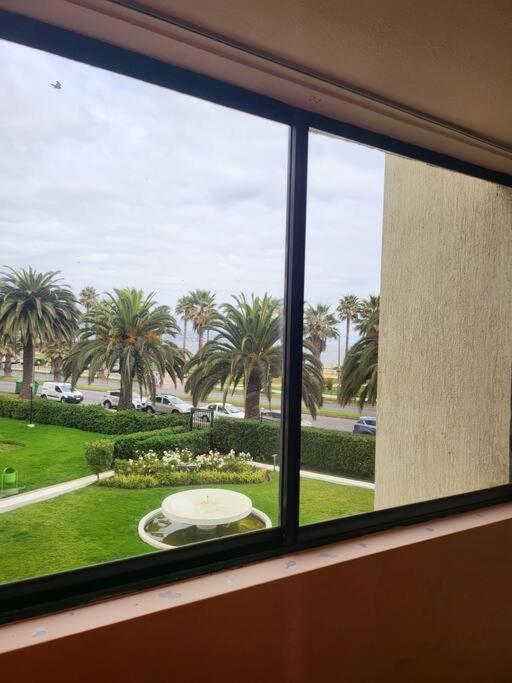 14 Norte 548 Vina del Mar